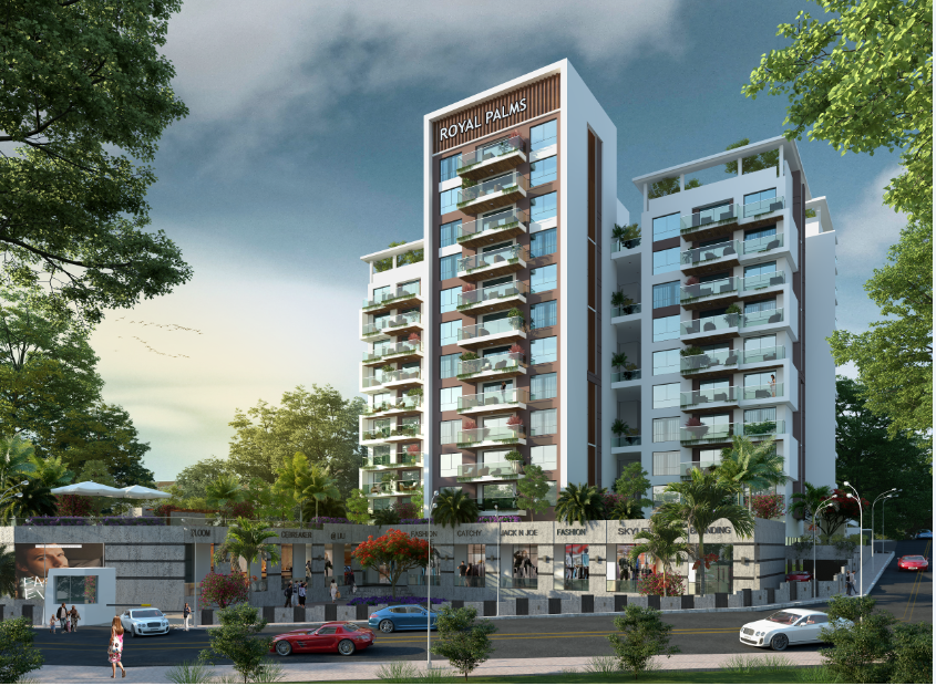 Roscoe Road royal palms